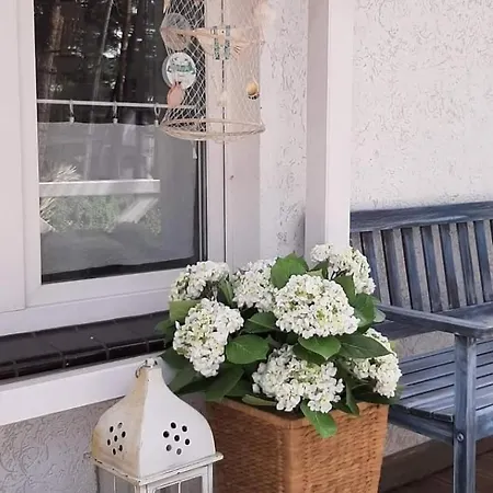 Dom Nad Morzem 别墅 *